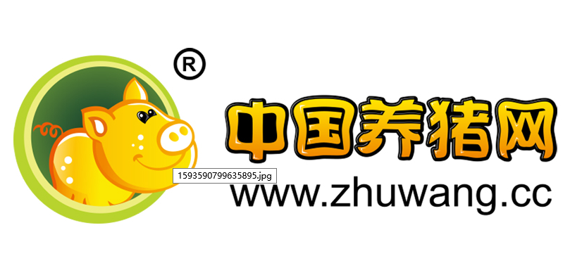  中国养猪网